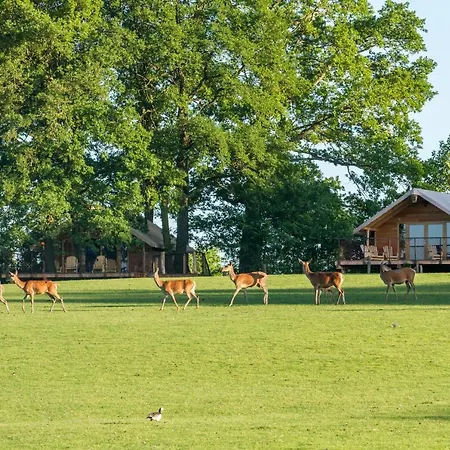 Parc Animalier De Sainte-croix