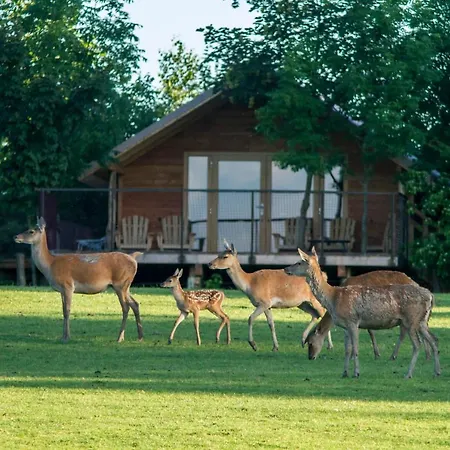 Parc Animalier De Sainte-croix Hotel *