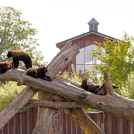 Parc Animalier De Sainte-croix Hotel *