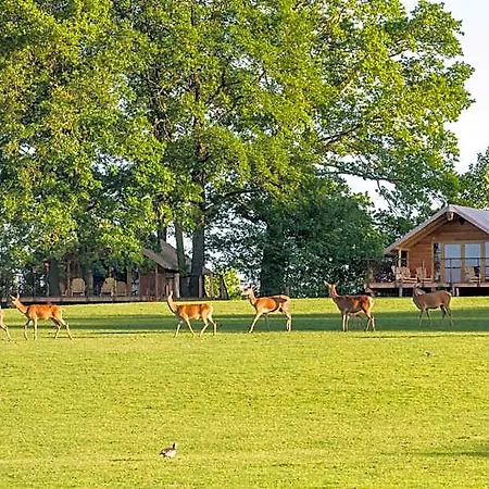 Hotel Parc Animalier De Sainte-croix