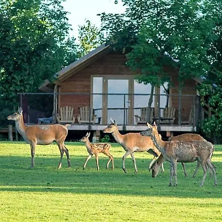 Hotel Parc Animalier De Sainte-croix Rhodes