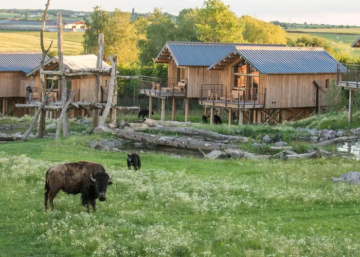 Parc Animalier De Sainte-croix *